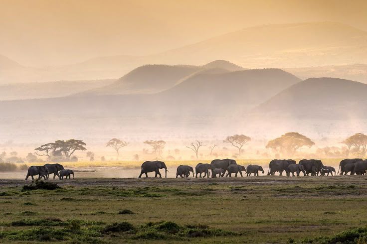 Maasai warrior guiding guests through the conservancy